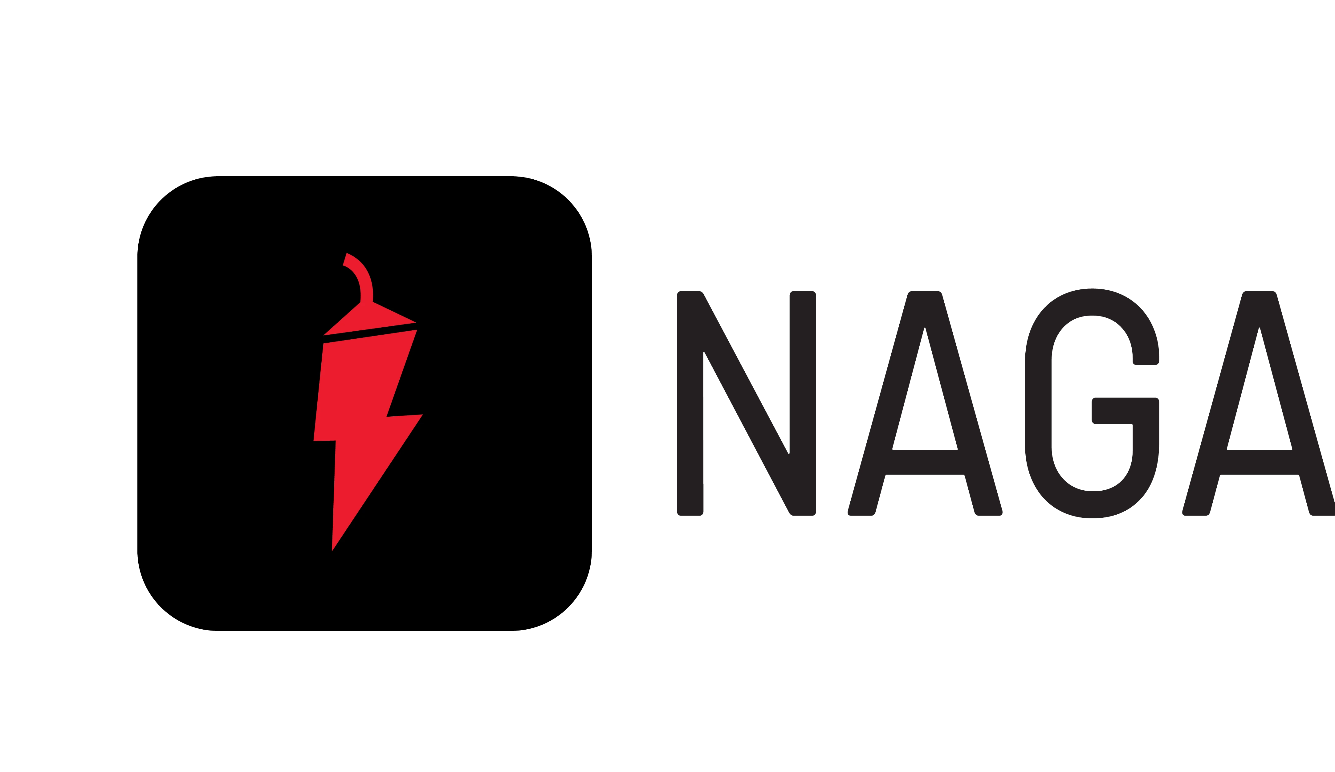 NAGA logo